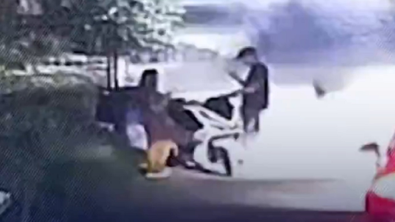 شاب يستدرج شقيقته ويقتلها رميا بالرصاص.. فيديو