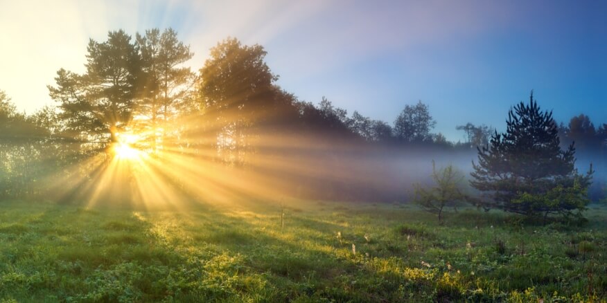 خبيرة تغذية: أشعة شمس الربيع أفضل حافز لفيتامين D