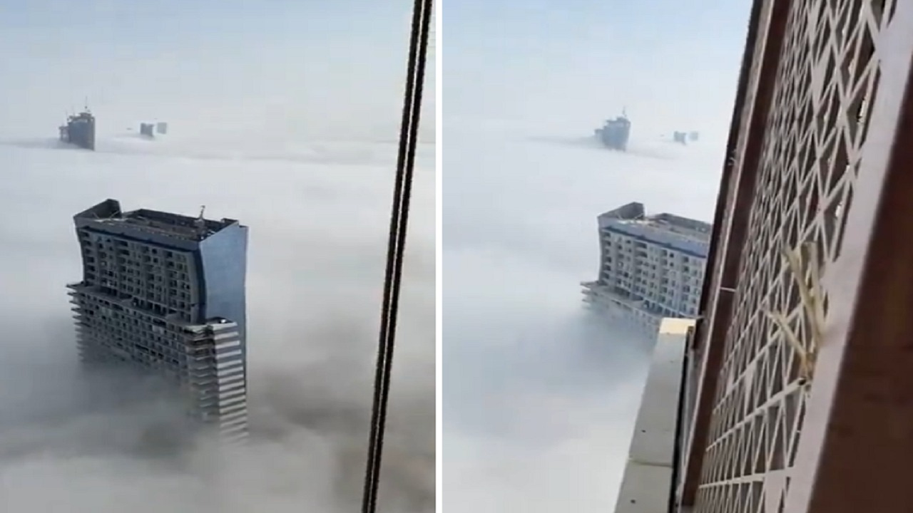 مشهد رائع لضباب يعانق أبراج ومباني جدة .. فيديو