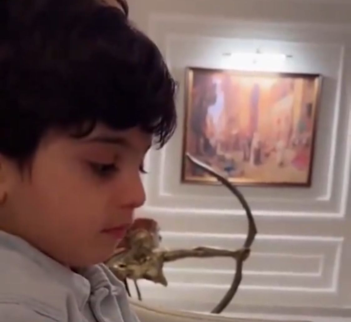 عبدالملك الهبدان ينجو من حادث مروري خطير وهو على سرعة 120 .. فيدبو