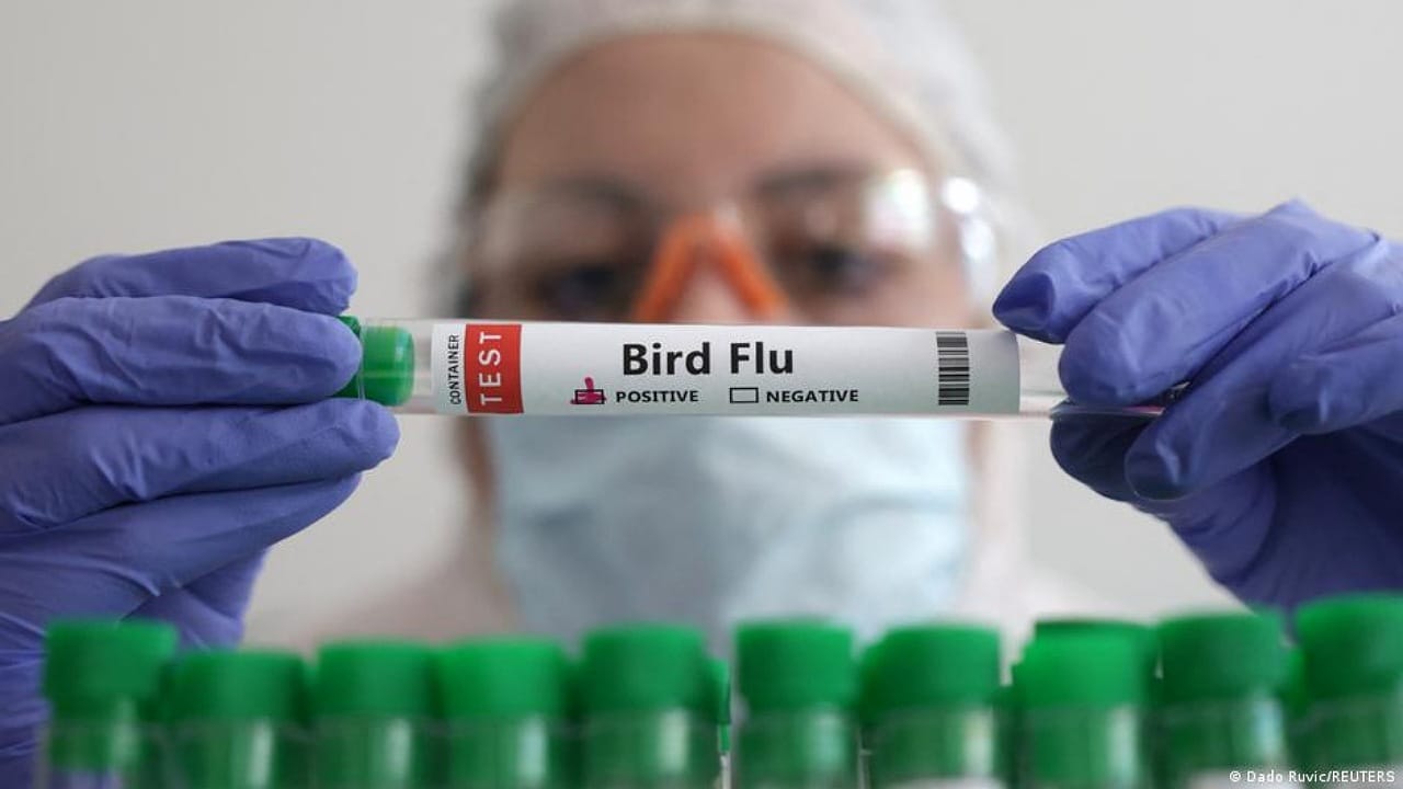 تسجيل أول حالة وفاة بشرية بمتحور لإنفلونزا الطيور
