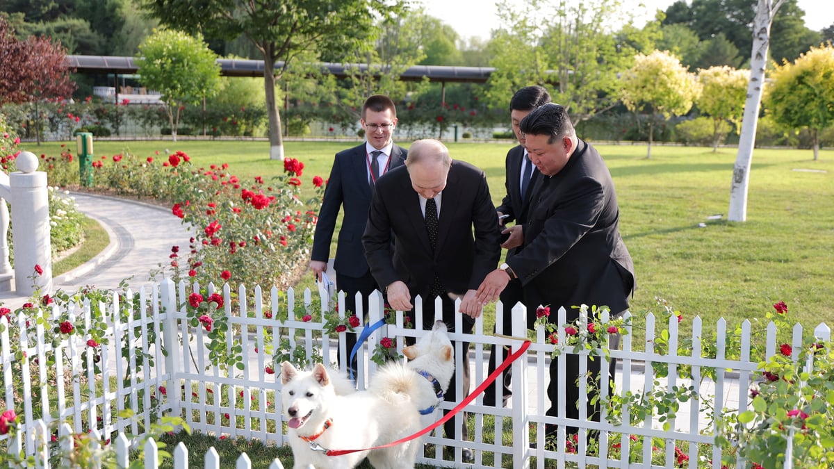 زعيم كوريا الشمالية يهدي بوتين كلبين صيد