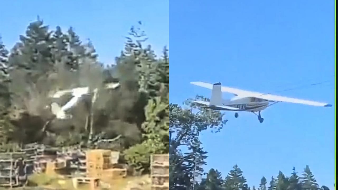 طائرة صغيرة تصطدم بالأشجار بعد فشل إقلاعها .. فيديو