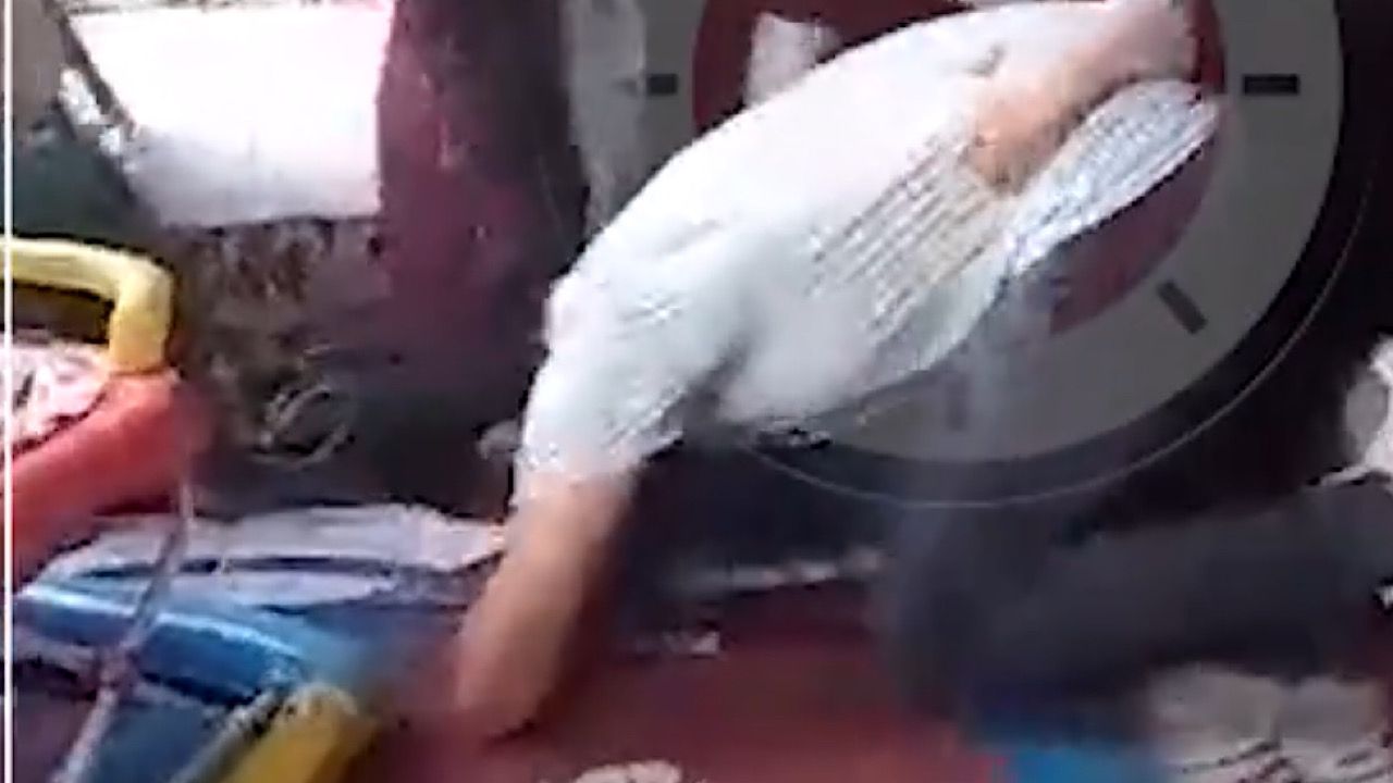 شاب يقبل قدم أمه وهو منهار بعد اعتداء زوجته بالضرب عليها .. فيديو