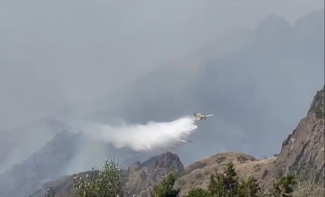 الأمير حسام بن سعود يوجه بسرعة إخماد حريق نشب بأحد جبال عقبة الباحة