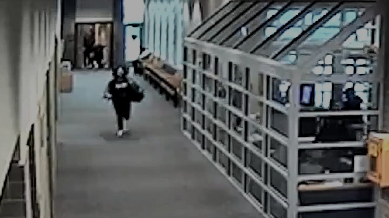 أمريكية تحاول الهرب من المحكمة بعد سماع الحكم عليها .. فيديو