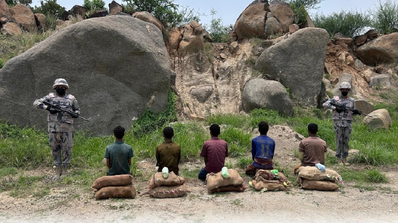 الإطاحة بـ 5 مخالفين لتهريبهم 130 كيلوجرام من القات المخدر بجازان