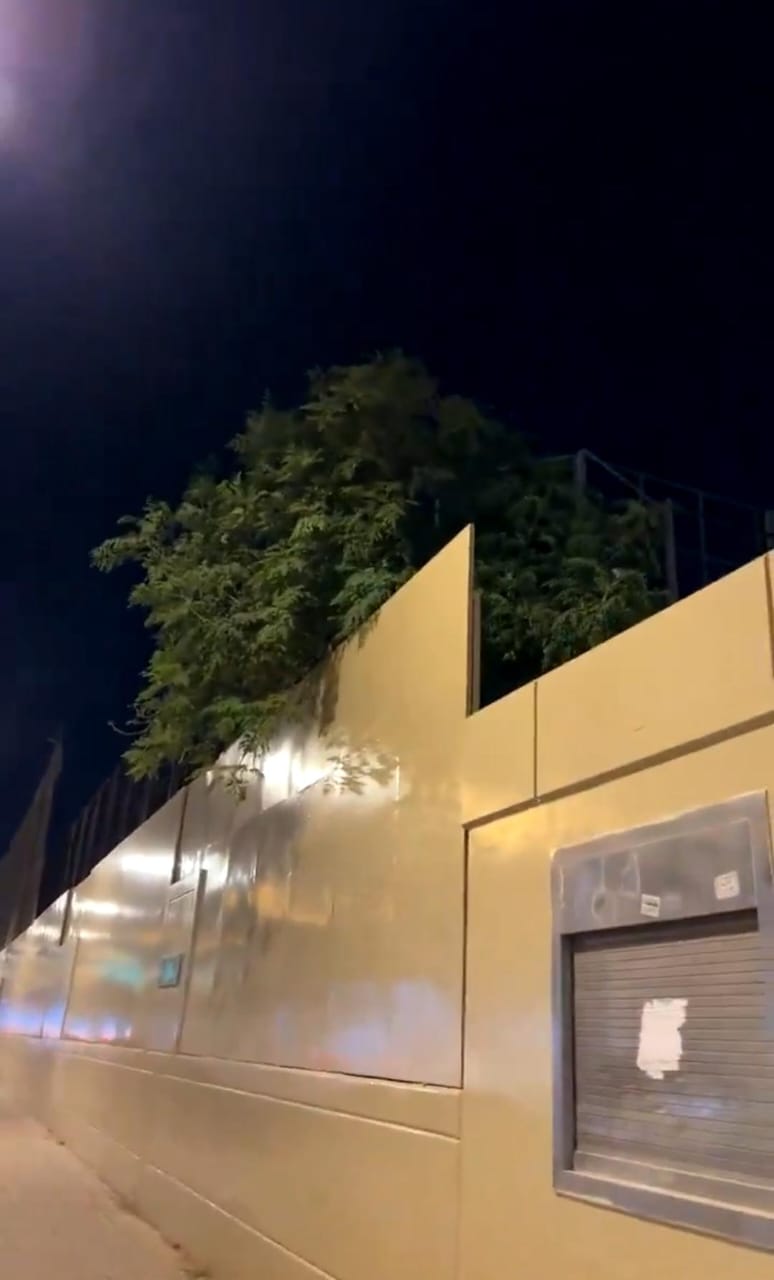 مشجع نصراوي يزعم وجود سحر للنصر أسفل شجرة أمام مقر النادي.. فيديو