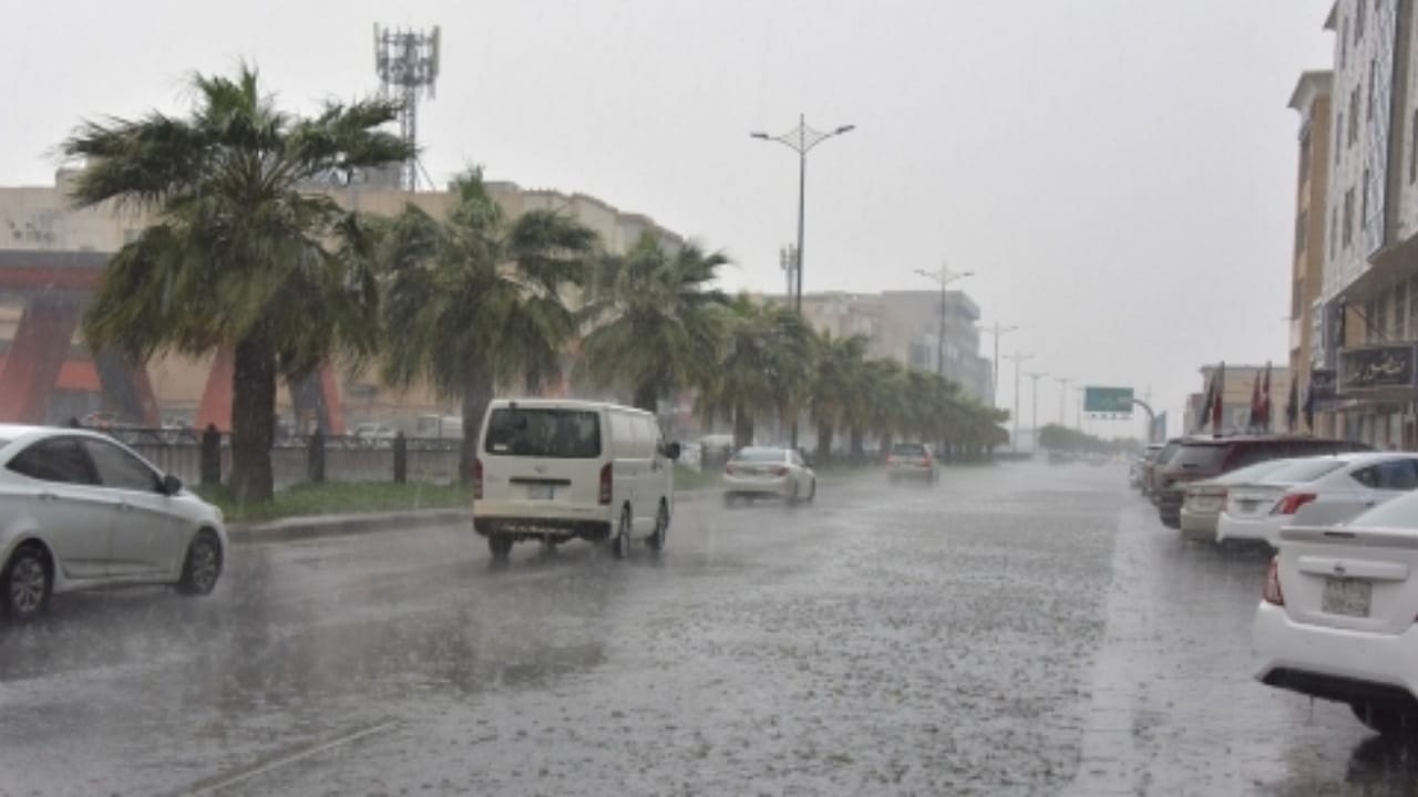 العقيل: استمرار الأمطار على بعض مناطق المملكة حتى الأسبوع المقبل.. فيديو