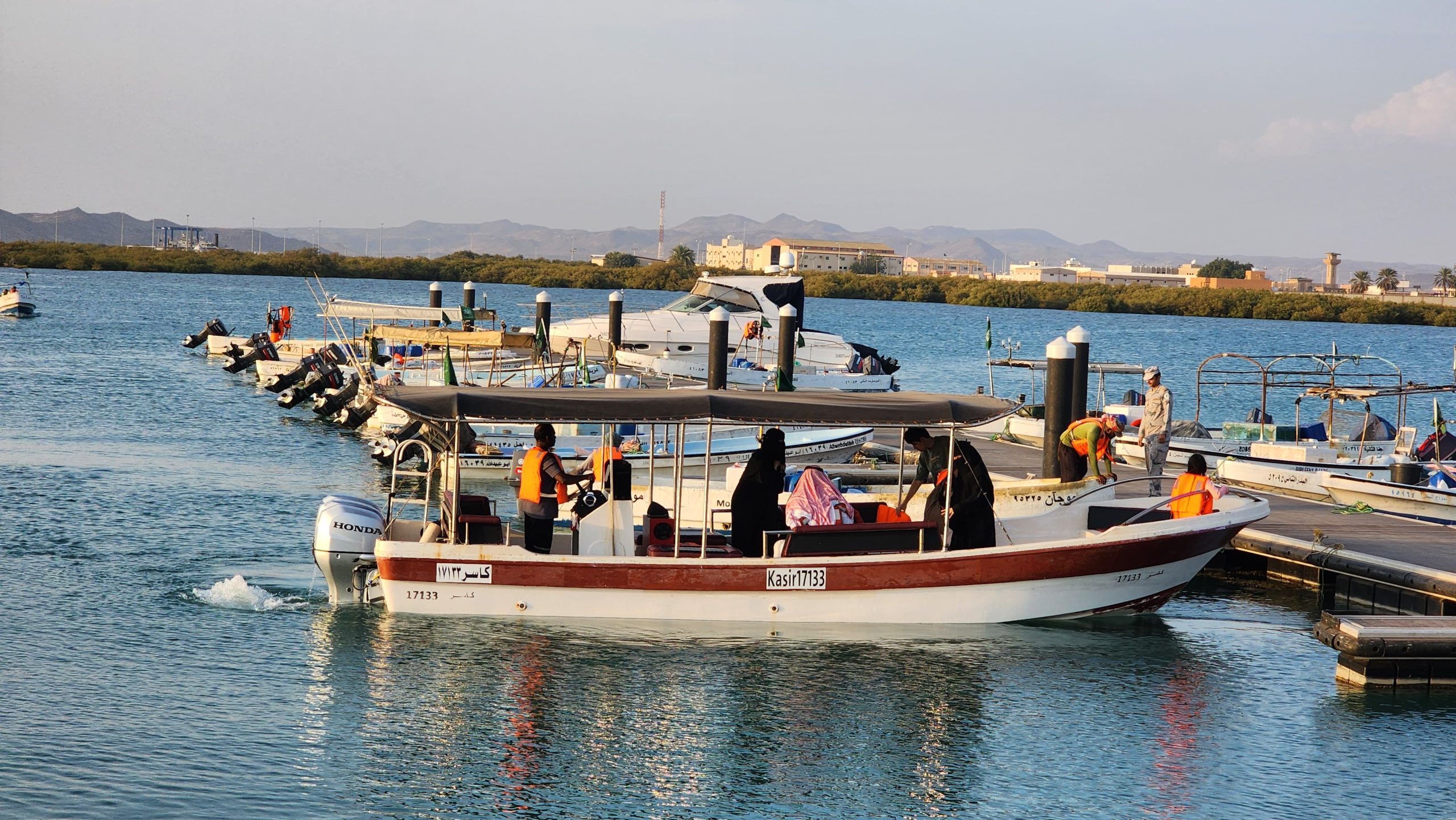 انطلاق المهرجان الأول للأسماك في عسير.. صور
