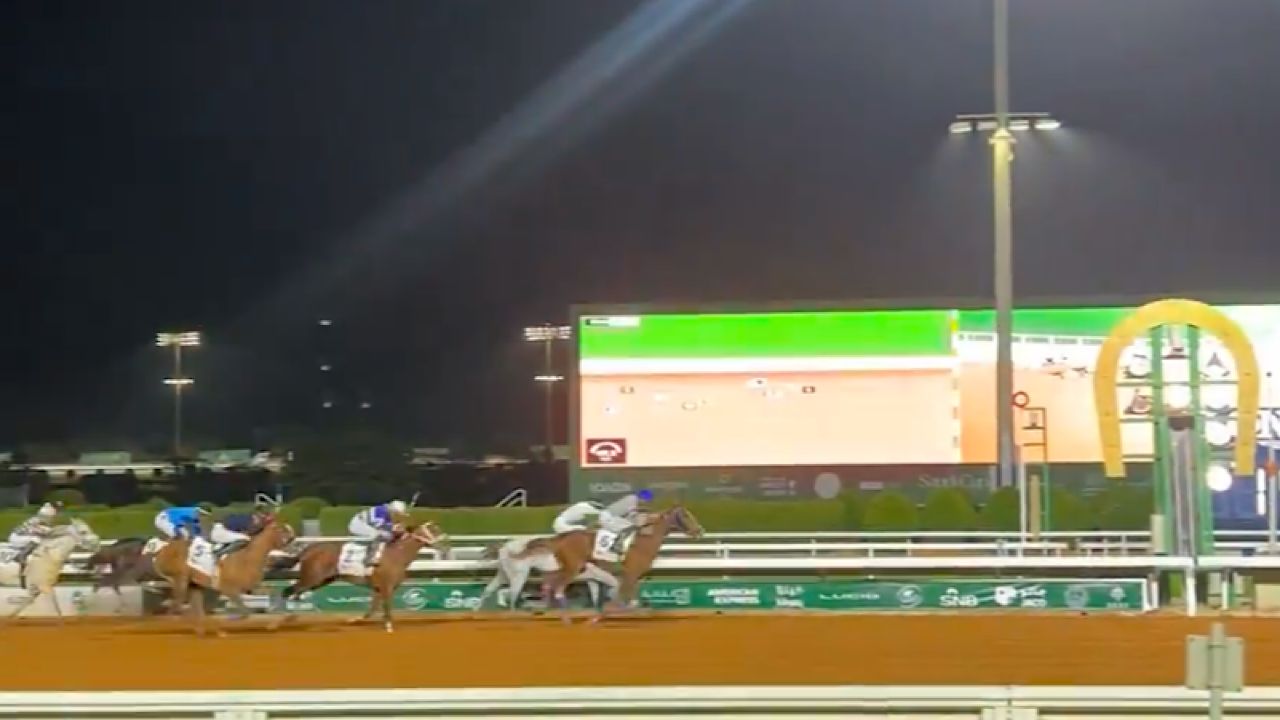 الجواد سيف برزان يفوز بكأس المؤسس للخيل العربية ..فيديو