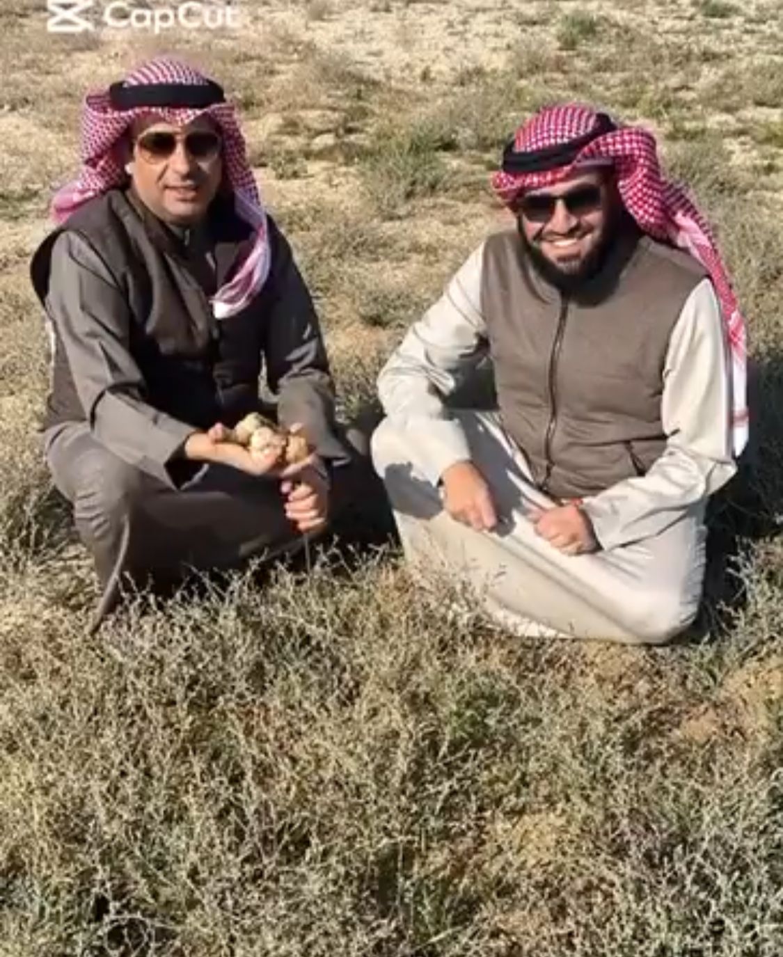 النواب الكويتيون السابقون مبارك الطشه ومتعب الجلال يلقطون الفقع في بر المملكة .. فيديو