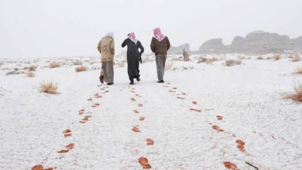 الحصيني: اليوم بداية طالع الشولة وفيها يستمر البرد والصقيع