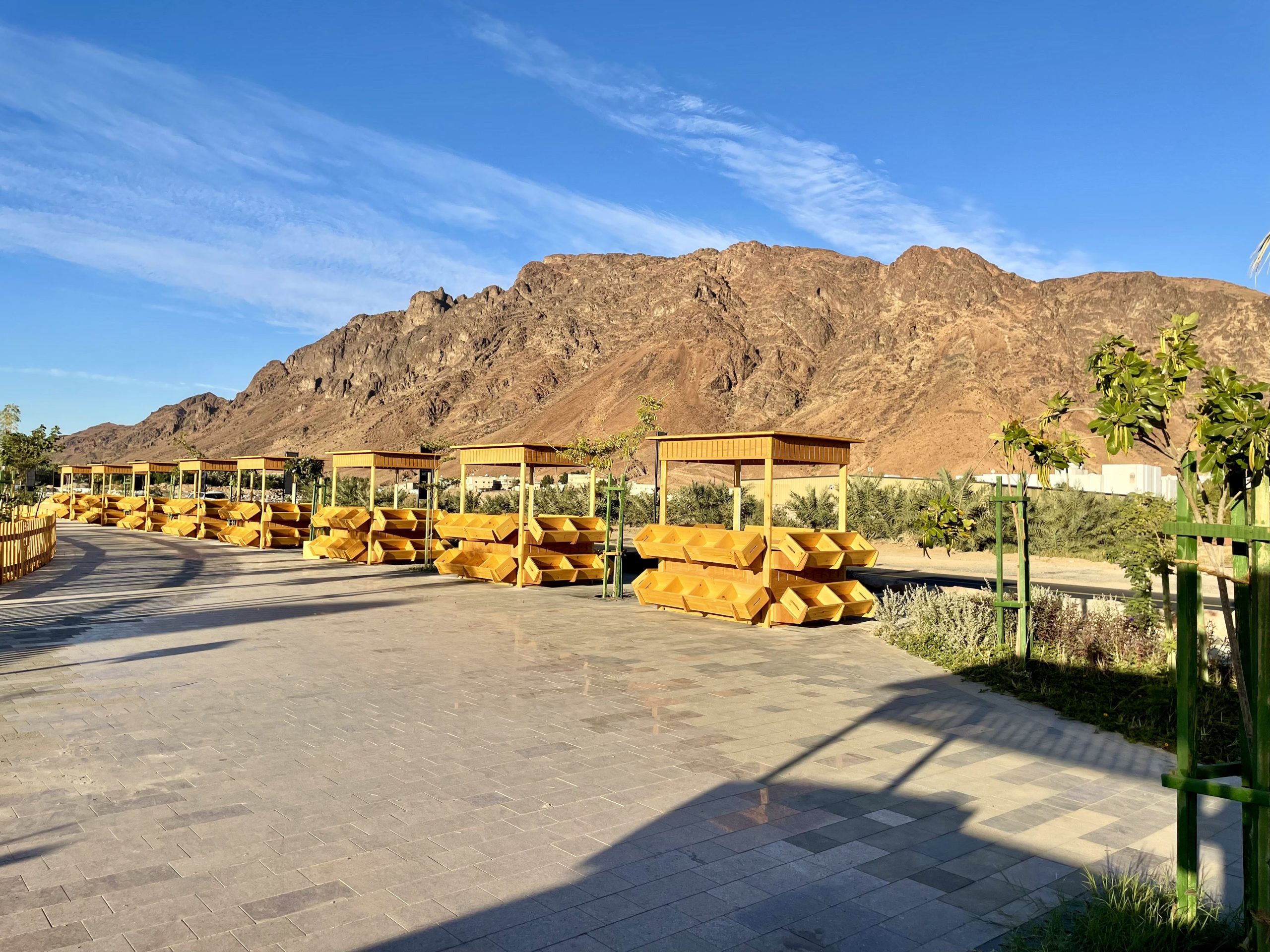 مشروع السوق بإطلالة مميزة على جبل أحد ..صور