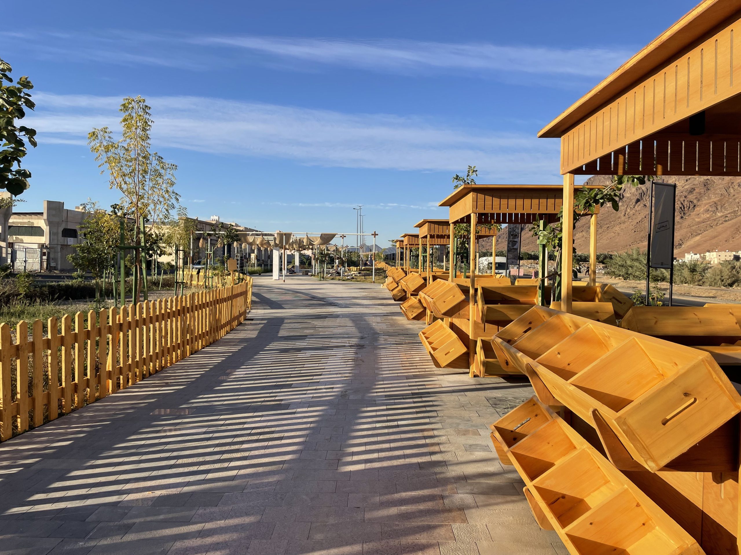 مشروع السوق بإطلالة مميزة على جبل أحد ..صور