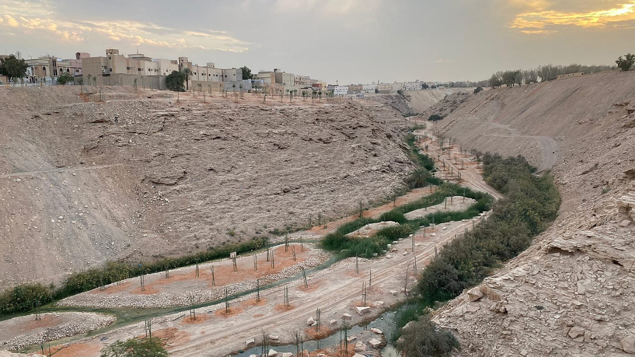 تشجير وتنسيق شعيب أم قصر في حي العريجاء الوسطى .. صور