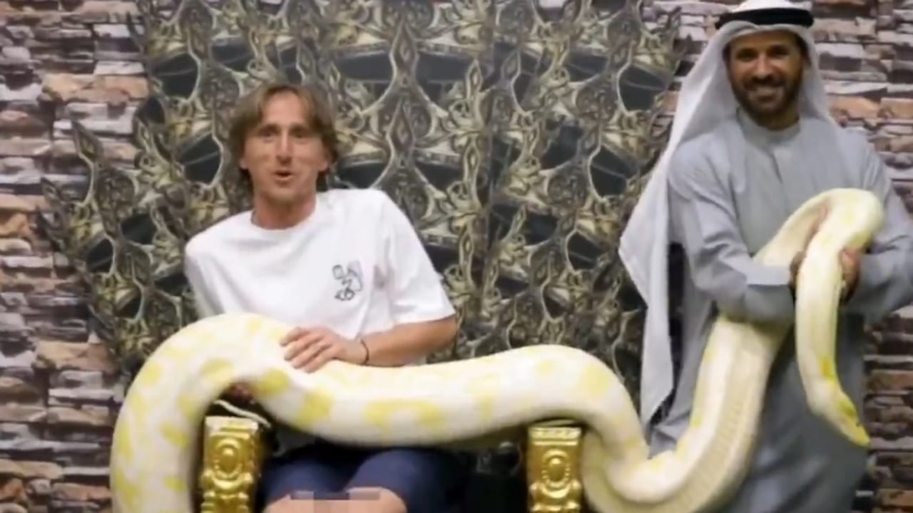 خوف مودريتش من الأفاعي يثير تفاعل الجمهور في دبي .. فيديو