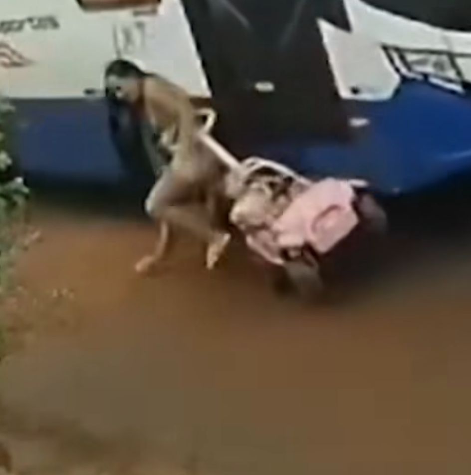 لحظات مروعة لسقوط طفلة من والدتها تحت عجلات حافلة .. فيديو