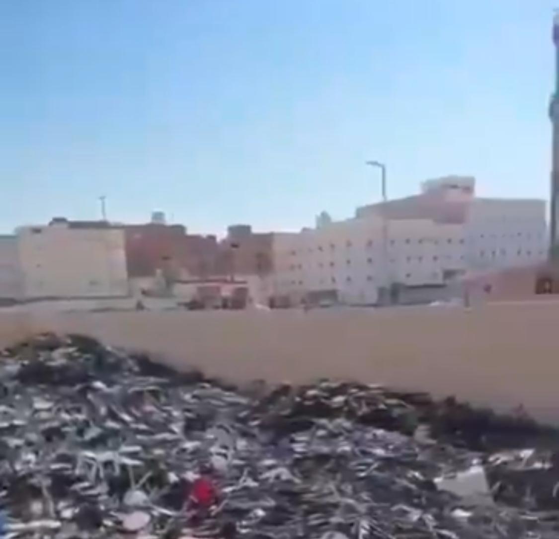 النمر: يجب التبرع للجهات الرسمية حتى تكون الصدقة في مكانها الصحيح .. فيديو