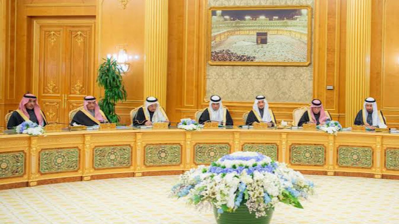 ضوابط شراء واستئجار الجهات الحكومية للمركبات