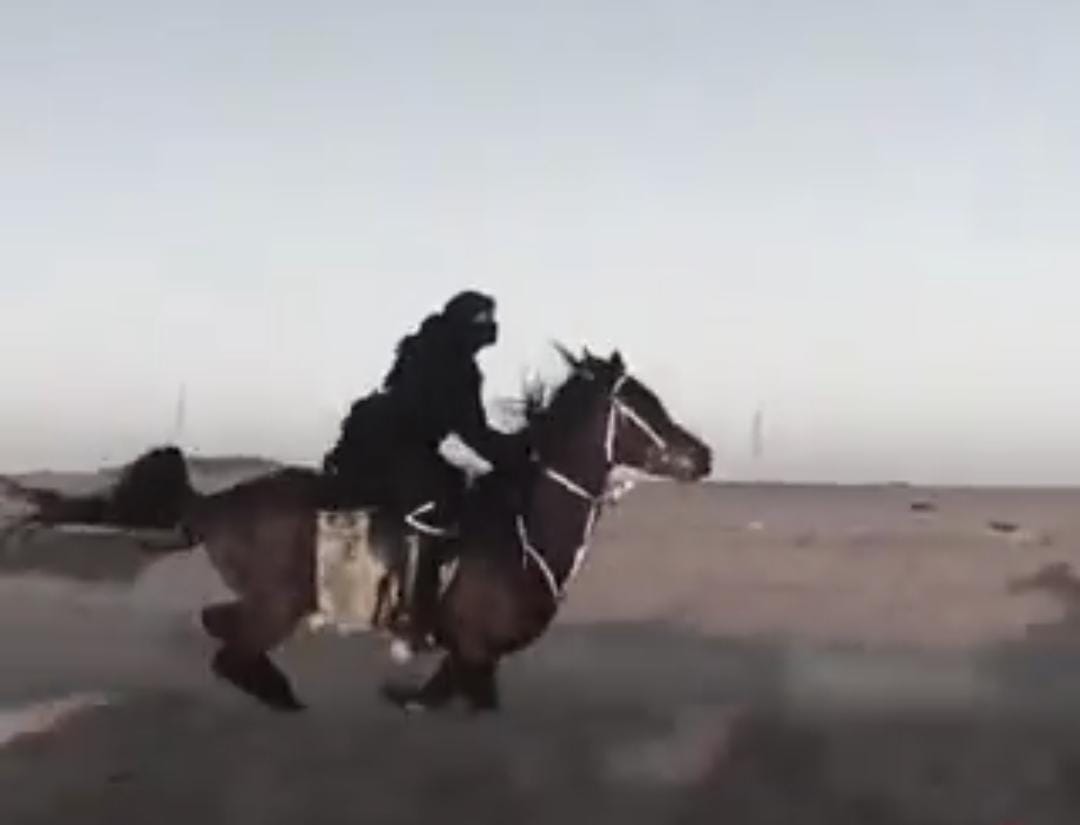 شابة تشعل مواقع التواصل بمهارتها الفريدة في الفروسية بحائل .. فيديو