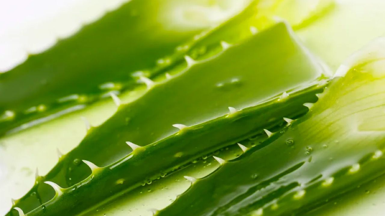  طرق لعلاج حكة الإبط في المنزل