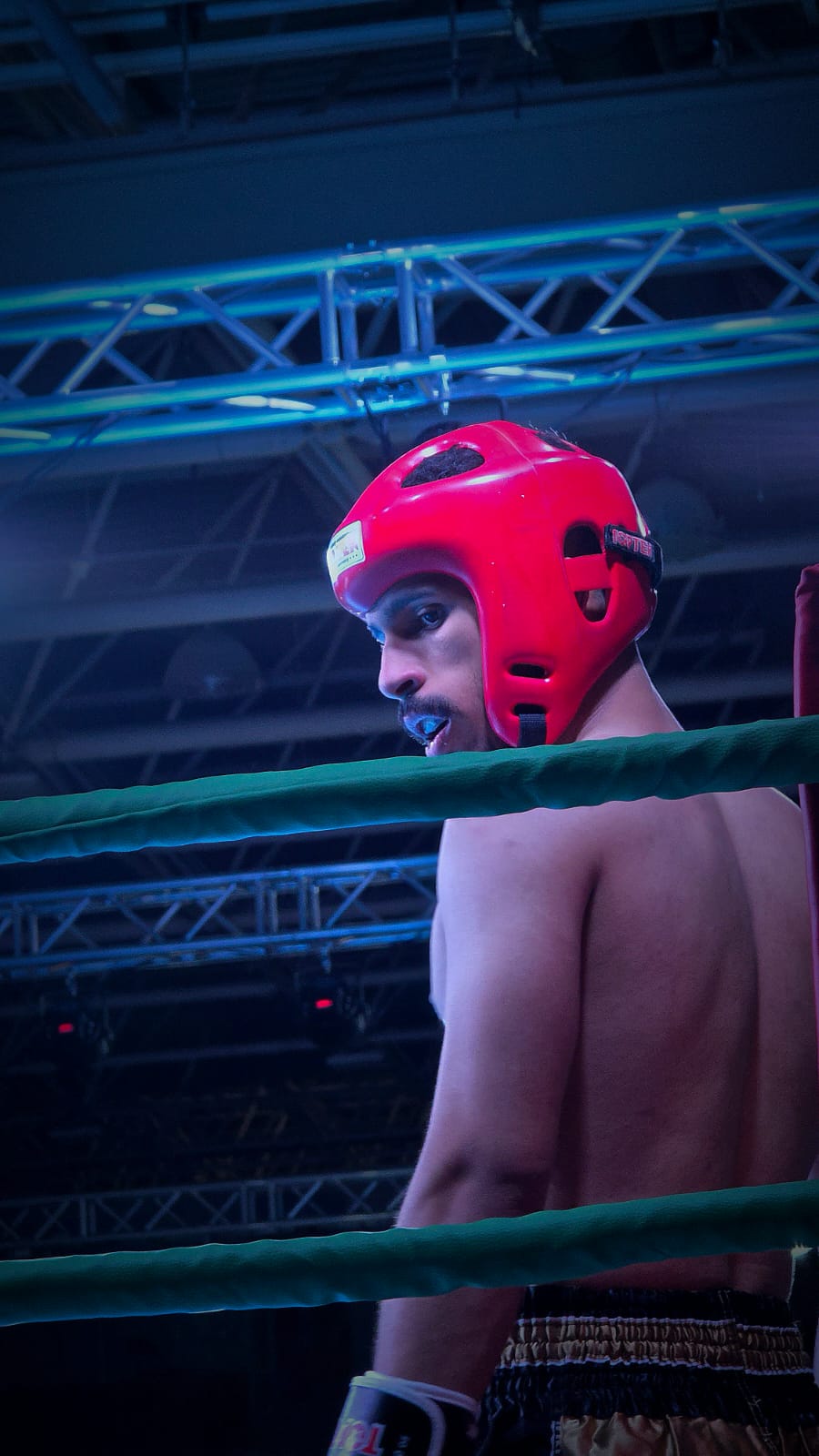 تكريم الفائزين في بطولة المملكة المفتوحة للملاكمة