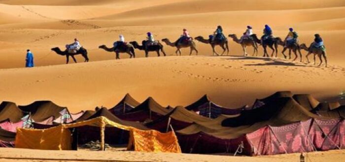 باحث في علم الأنساب يكشف أسرار الكرم والترحال في حياة البدو .. فيديو