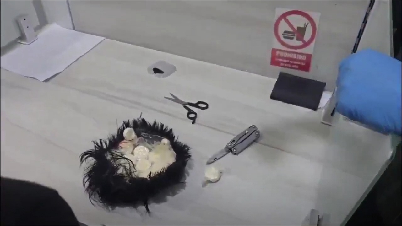 القبض على مهرب خبأ المخدرات في باروكة شعره ..فيديو