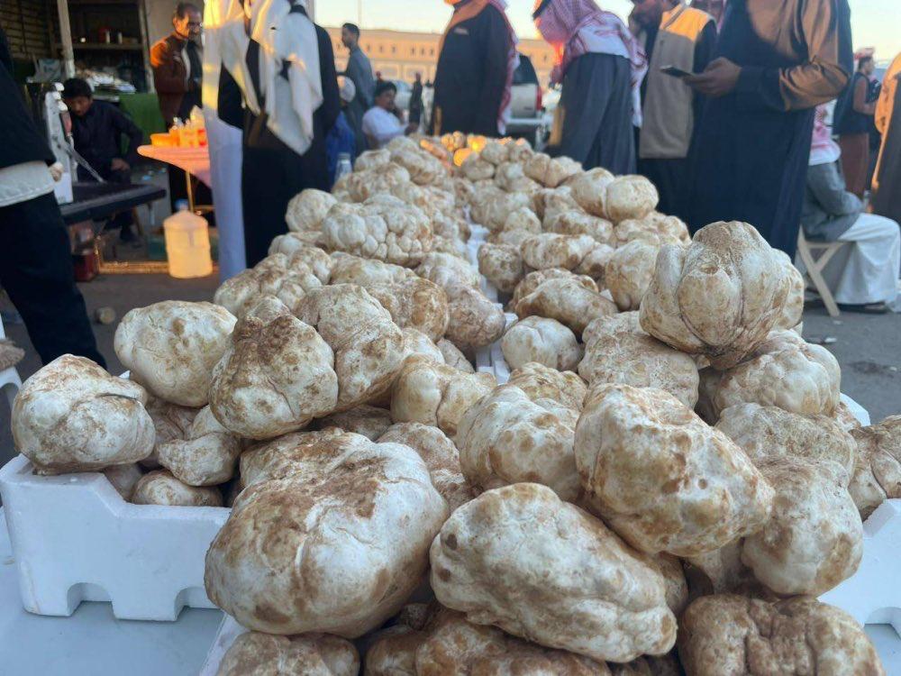 الحصيني: اليوم أول أيام سعد بلع العقرب الثانية وبرده يدمي