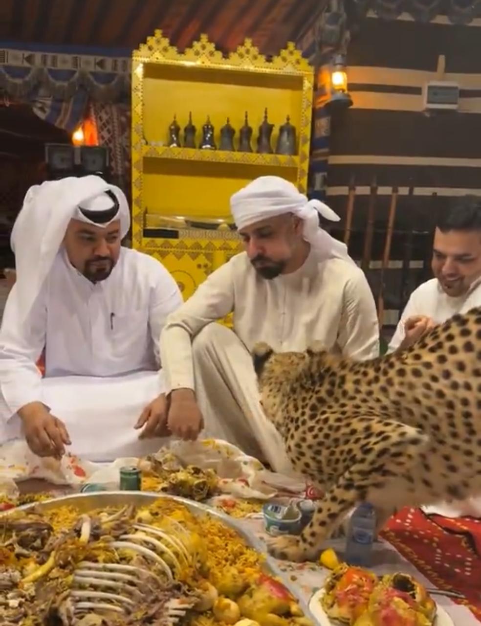 مجموعة رجال يتناولون وجبة العشاء برفقة الفهد .. فيديو