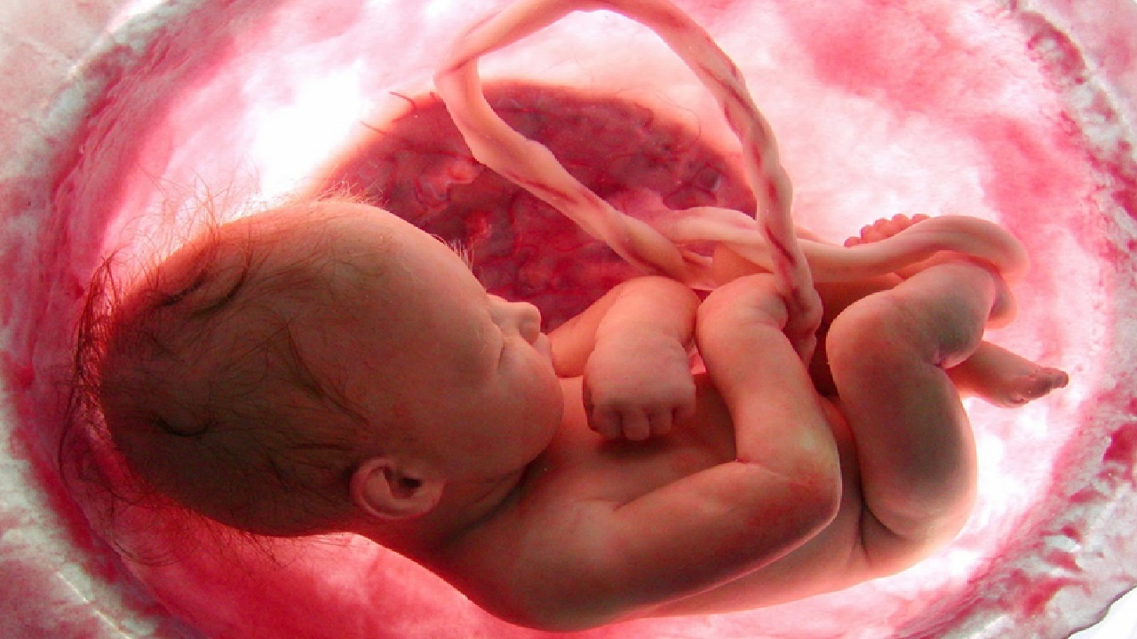 دراسة: مسكّن ألم شائع قد يعرض الأجنة للإصابة باضطراب نقص الانتباه