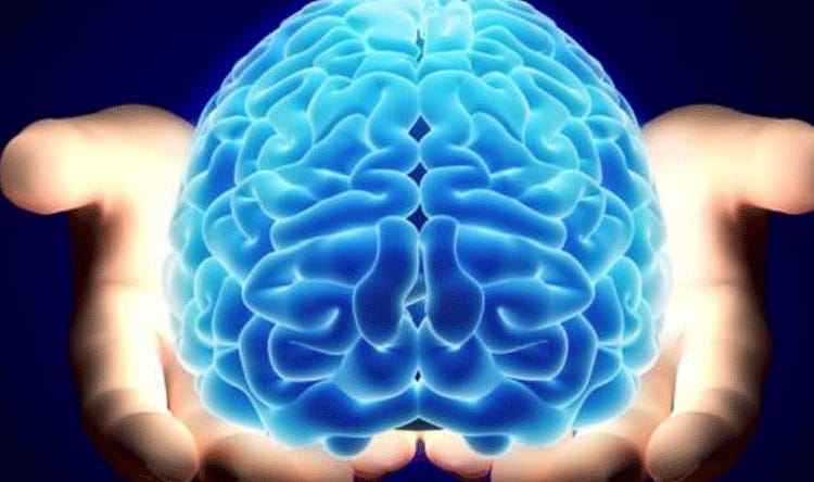 دراسة صادمة.. الكرش قد يعزز الذاكرة ويحمي الدماغ