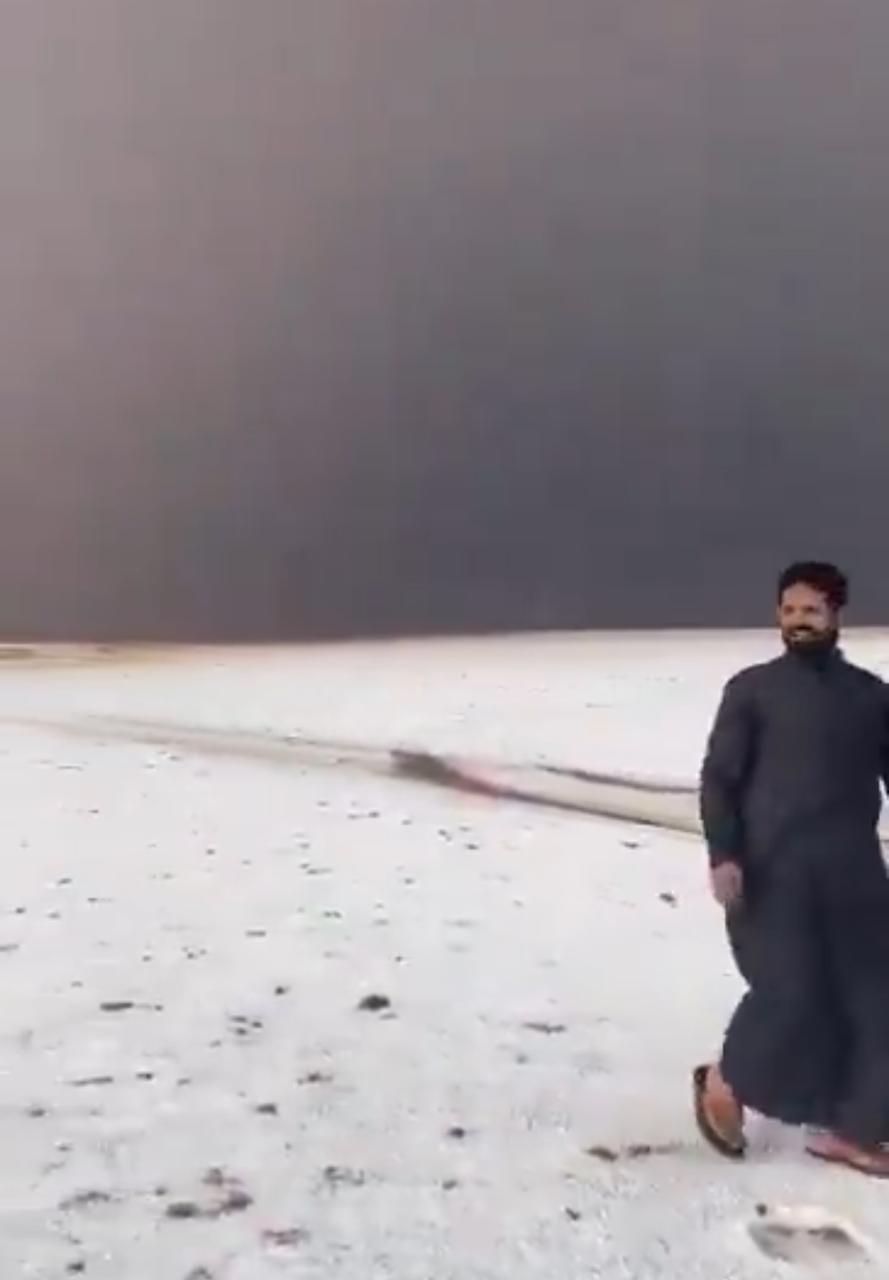 بردية غزيرة ترسم لوحة فنية على الأرض في تبوك .. فيديو