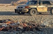 ضبط مواطنين مخالفين لنظام البيئة