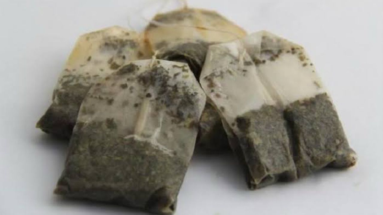5 طرق مبتكرة للاستفادة من كيس الشاي بعد استعماله