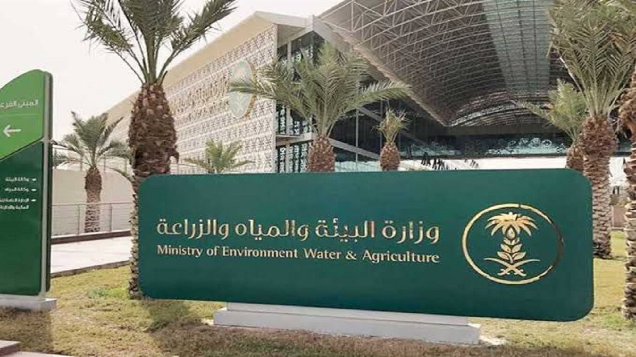 وزارة البيئة توفر 42 وظيفة شاغرة عبر جدارات