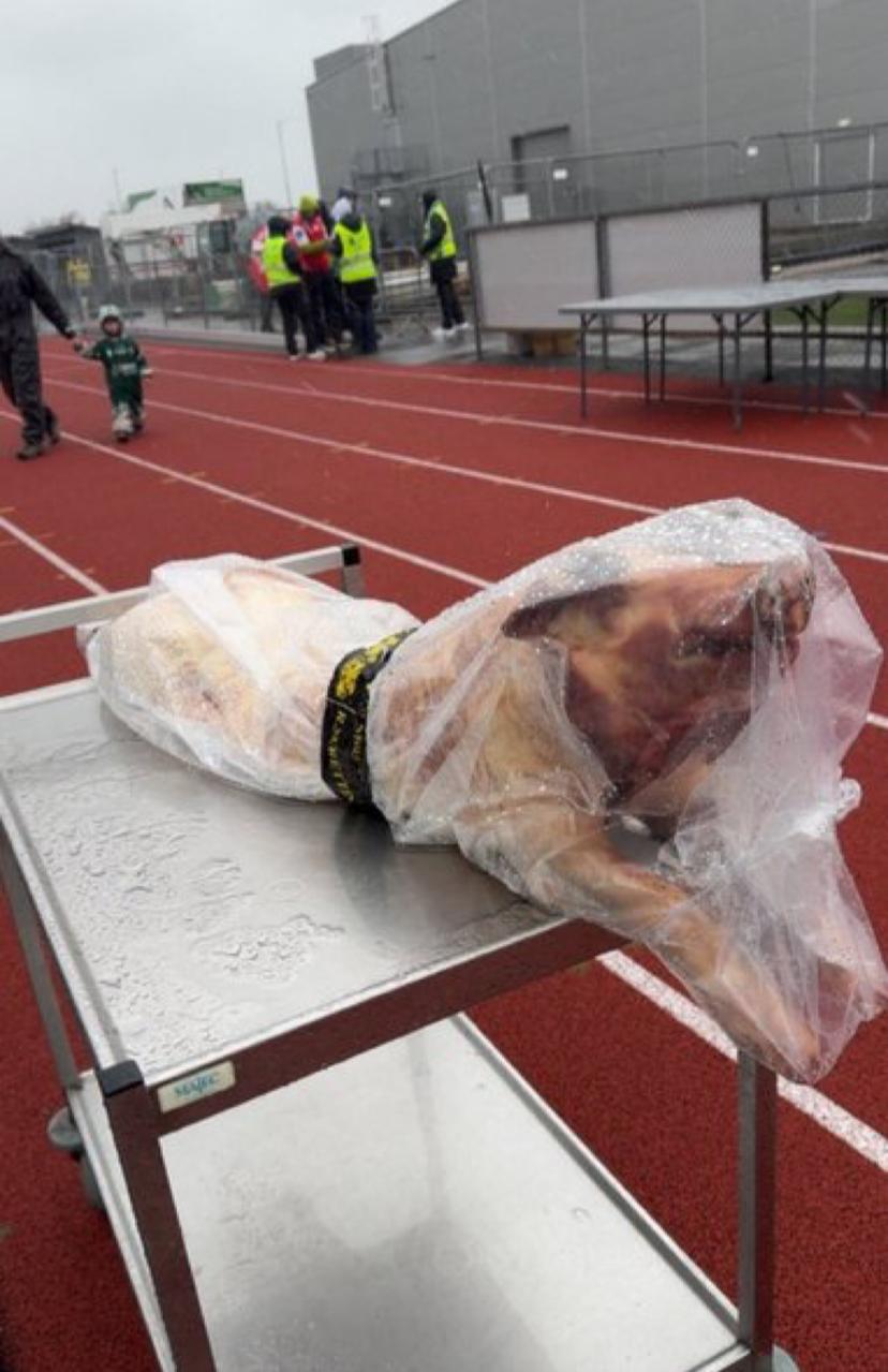 فريق نرويجي يقدم خنزيرا مذبوحا جائزة لرجل المباراة .. فيديو