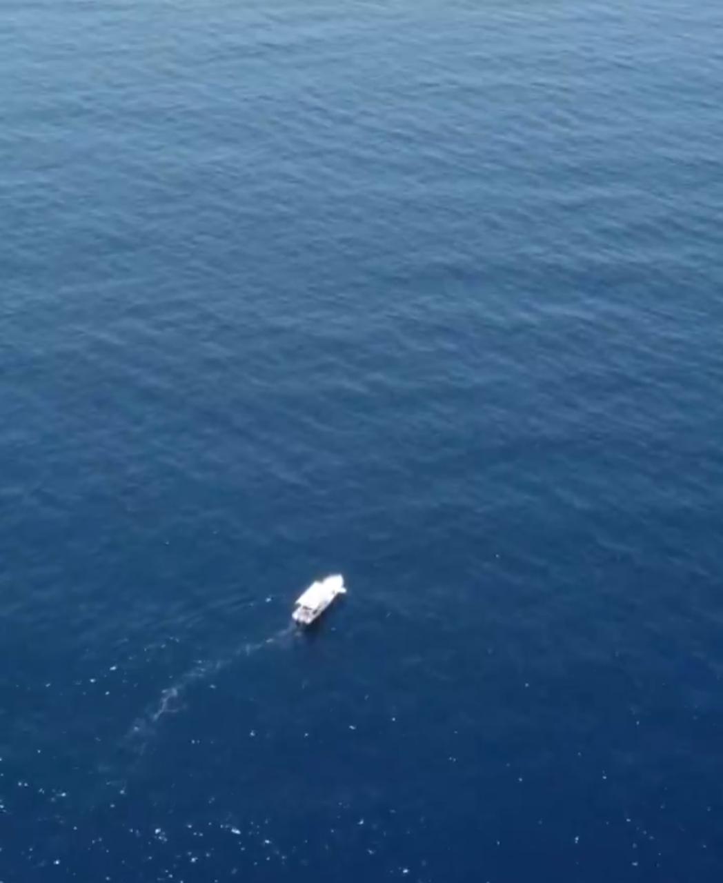 بحار سعودي يخوض مغامرة مع أسماك القرش في البحر الأحمر.. فيديو