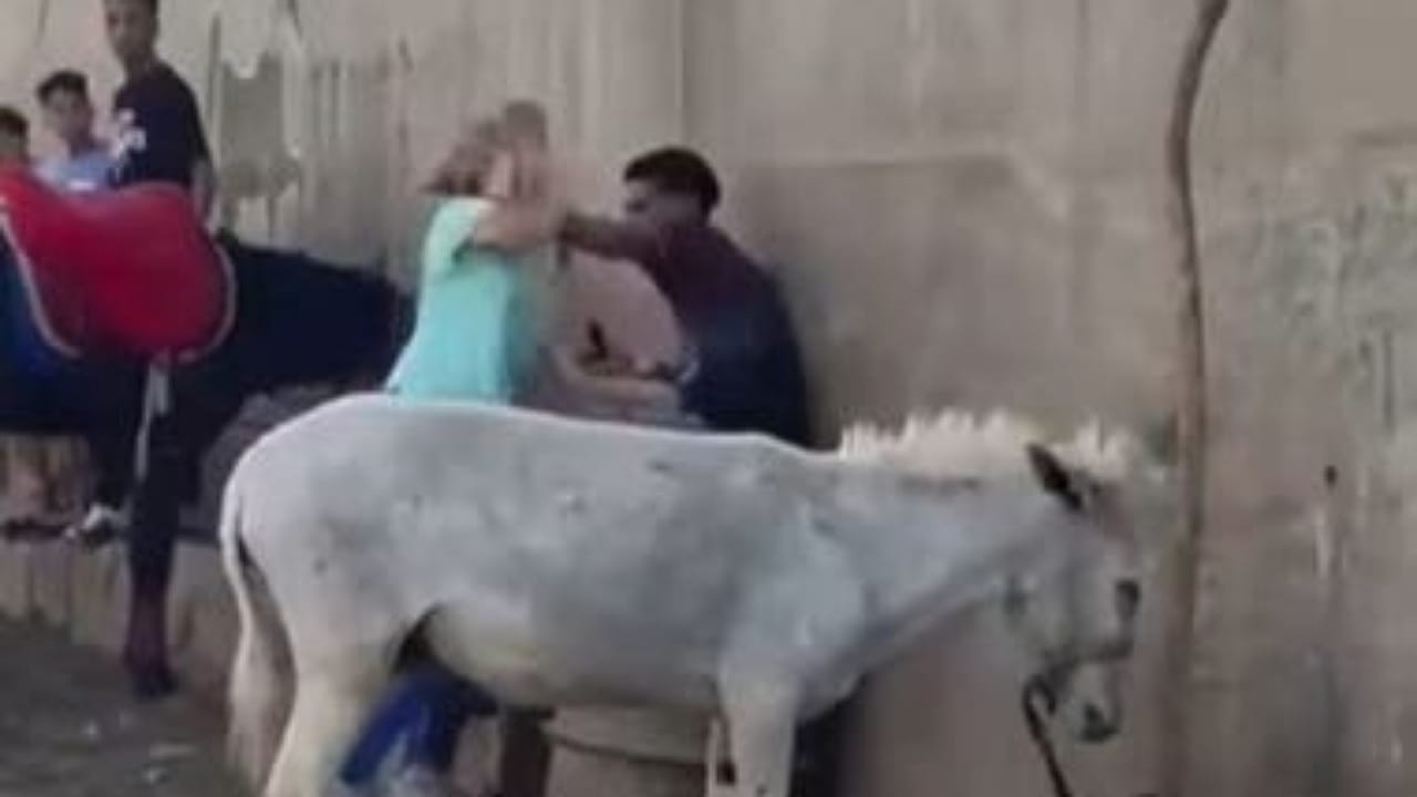 مشهد صادم لسائحة تهاجم شابا اعتدى على حمار قرب الأهرامات .. فيديو