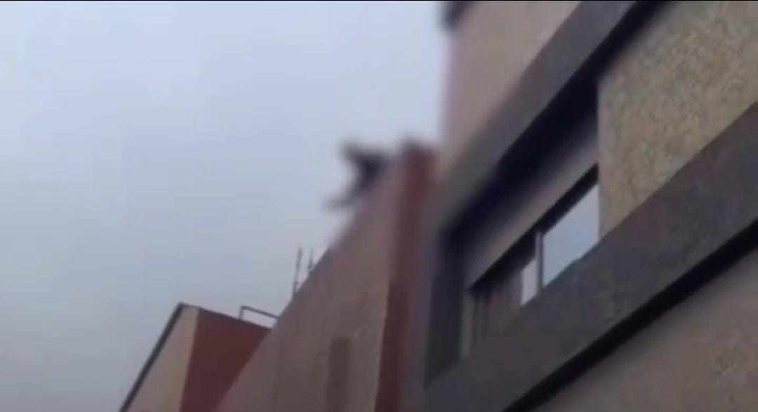 مواجهة عنيفة بين الأمن المغربي ومتهم غير متزن تنتهي بمقتله .. فيديو