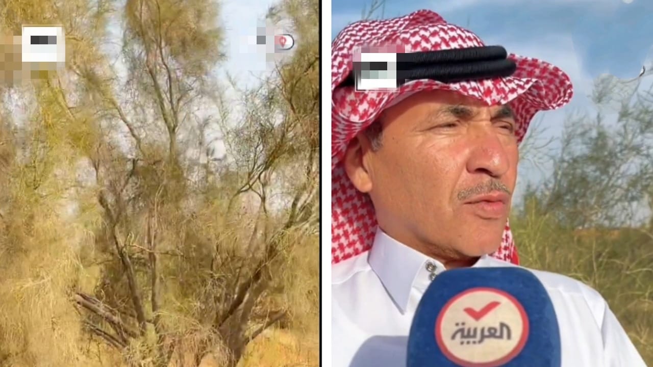 مواطن من القصيم يستبدل نخيل مزرعته بـ 65 ألف شتلة غضا .. فيديو
