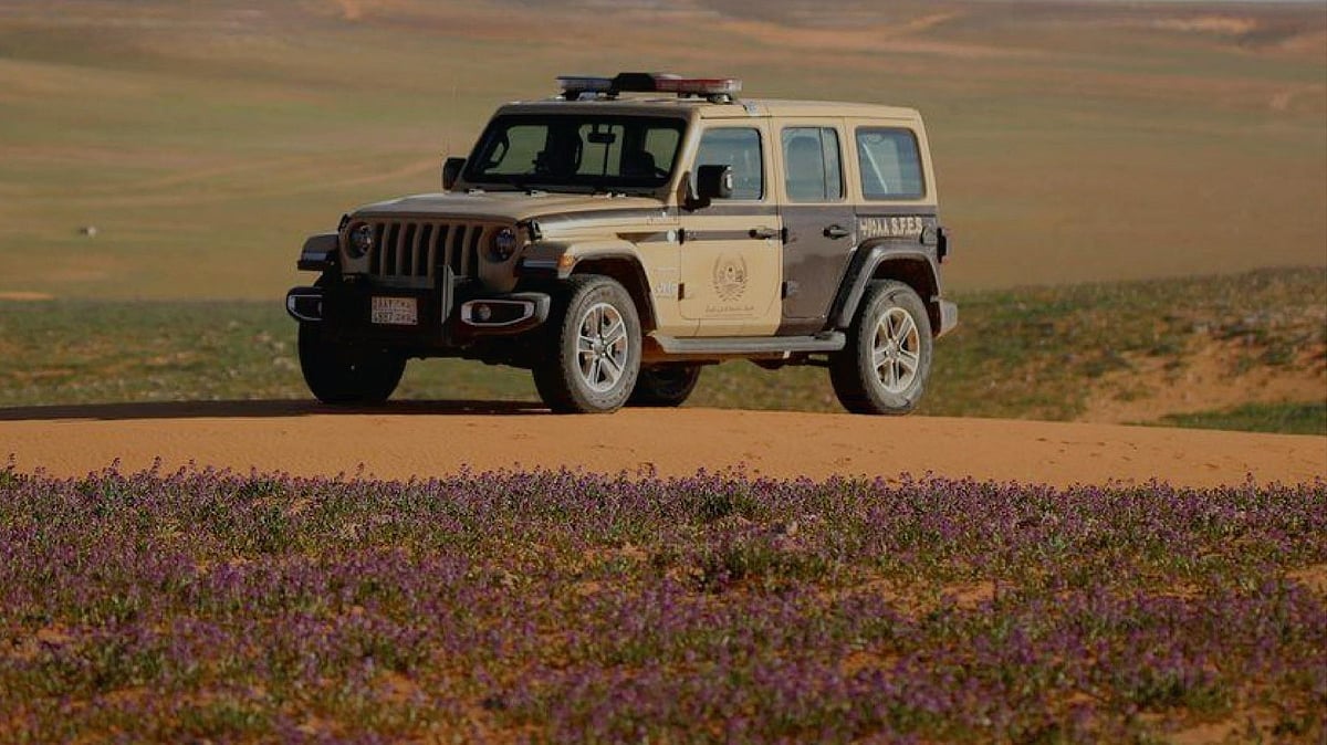 ضبط مواطن مخالف لنظام البيئة لارتكابه مخالفة رعي