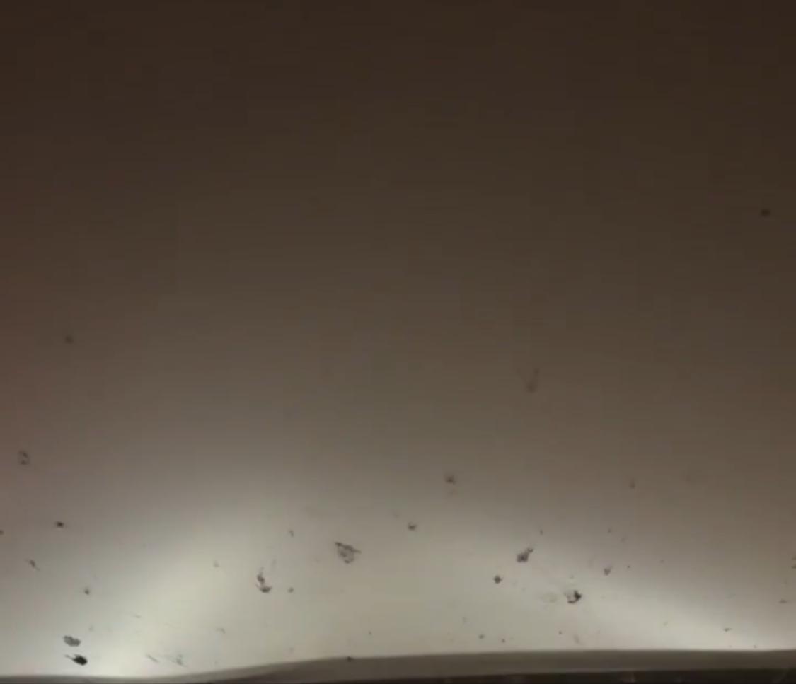 رياح هابطة تتسبب بانعدام الرؤية قرب أم سدرة باتجاه الرياض .. فيديو