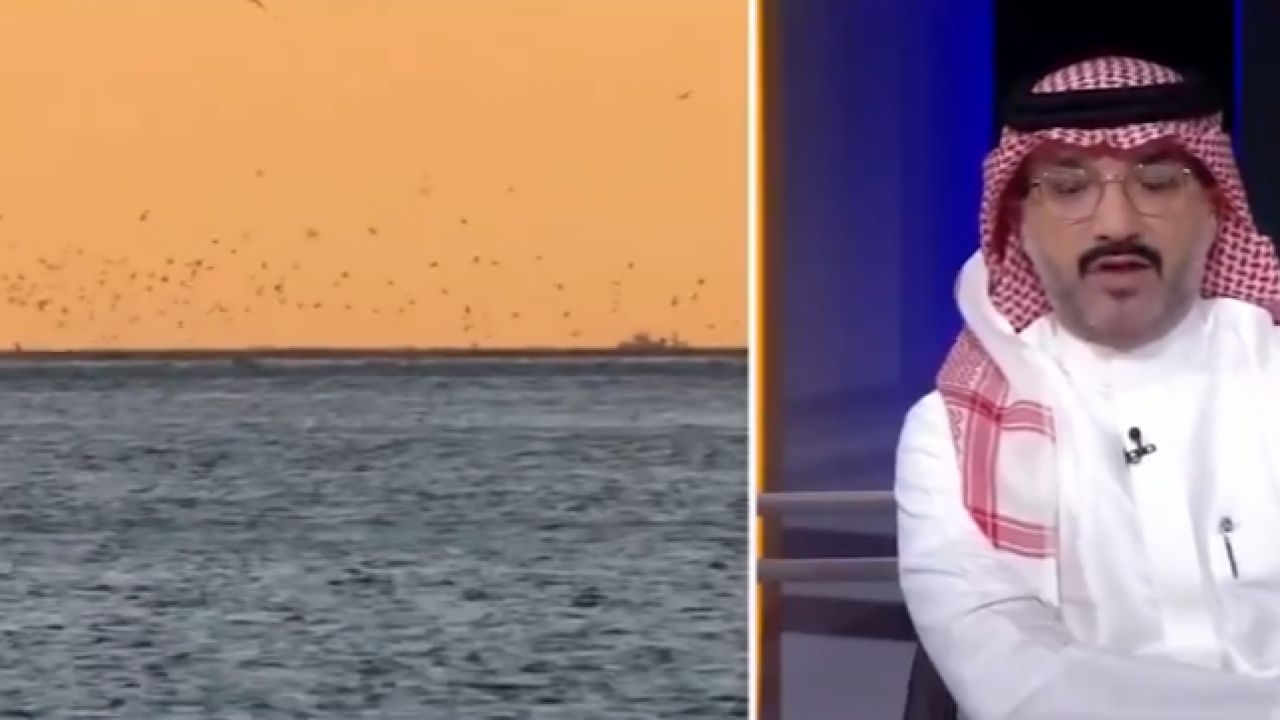 الناظري يكشف عن أبرز الأنواع البحرية المحظور صيدها بالمملكة .. فيديو