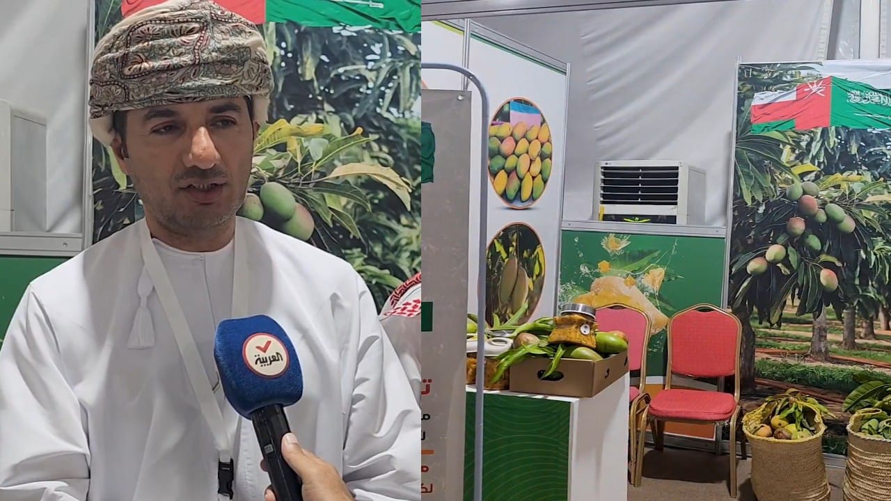 مزارع عماني يشارك في مهرجان المانجو بجازان.. فيديو