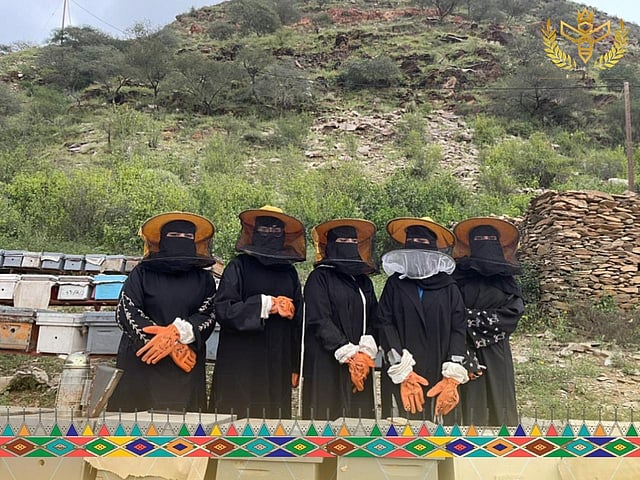 تعليم رجال ألمع يطلق مبادرة ملكات النحل لدعم الاستدامة البيئية.. صور