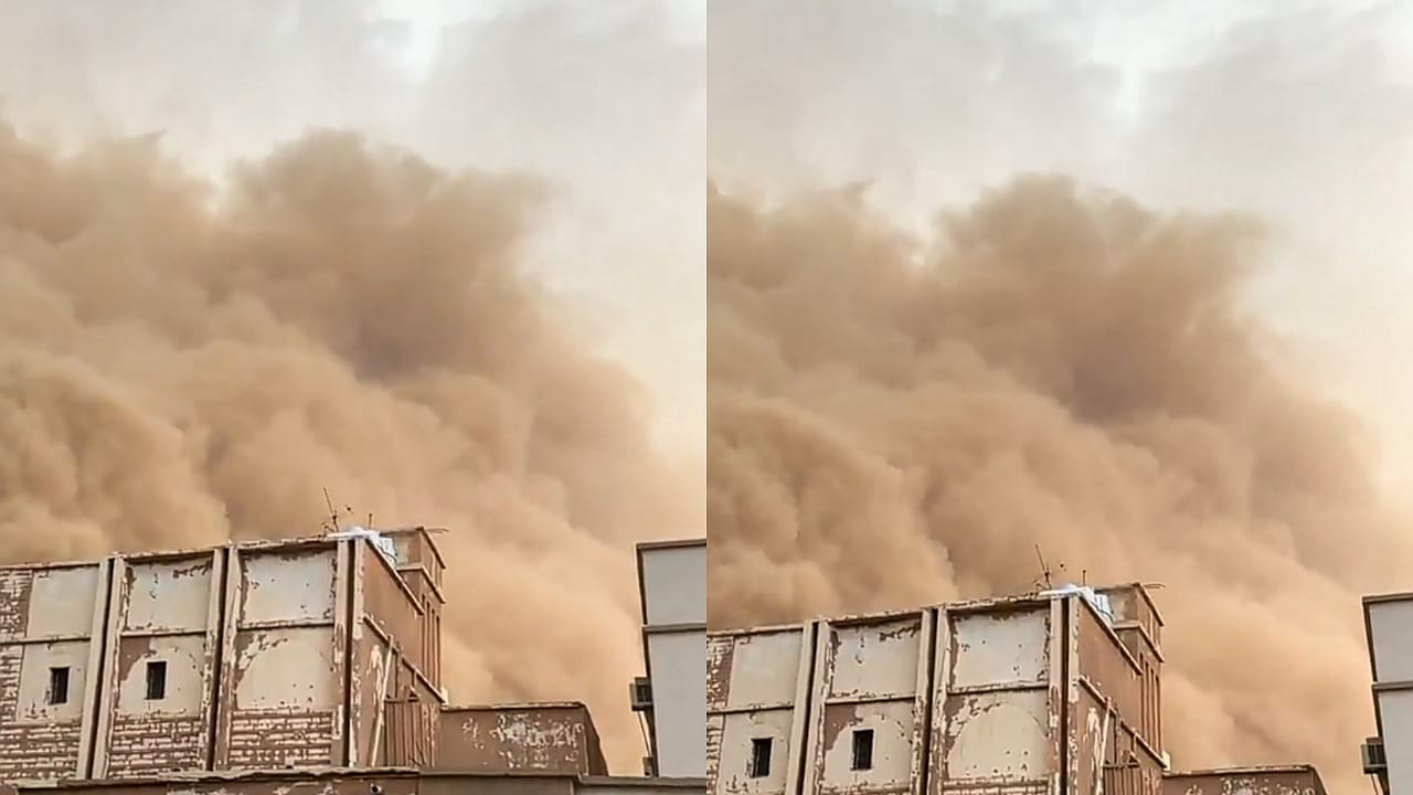 الحصيني: موسم المراويح دون التوقعات وقلة الأمطار أبرز الأسباب.. فيديو