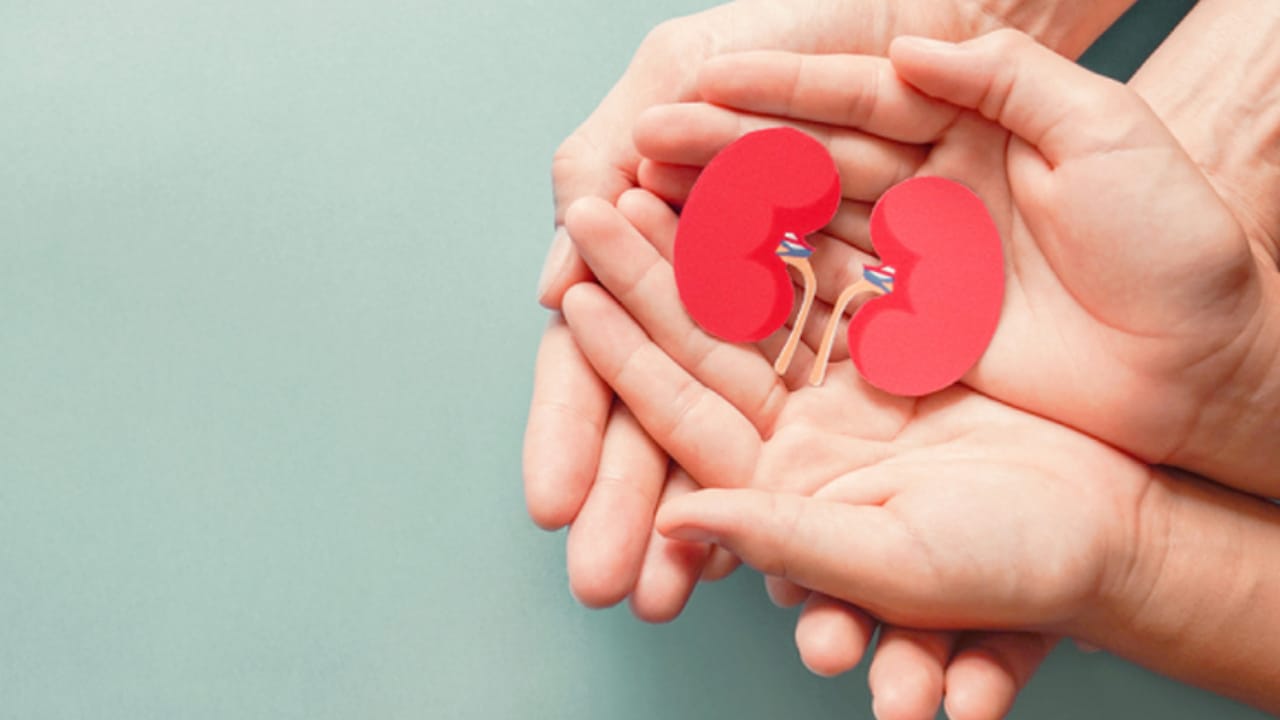 قصة مواطن تبرع بكليته لشقيقه وتسلق قمم جبال العالم متحديا المستحيل.. فيديو