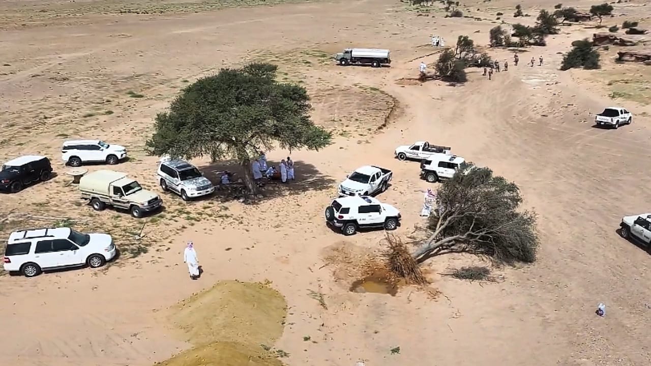 سقوط أشجار بسبب السيول في حائل: وتعاون ميداني لحماية الغطاء النباتي.. فيديو